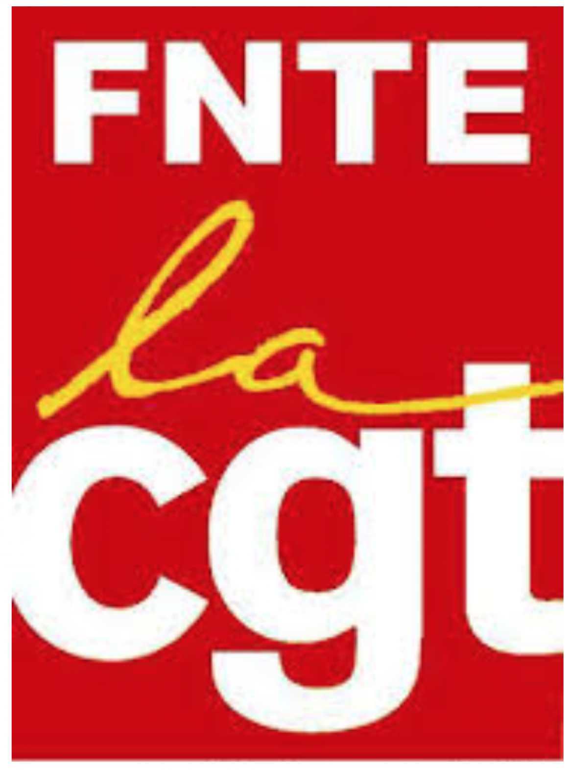 Logo Fédération Nationale CGT des Travailleurs de l'État - FNTE